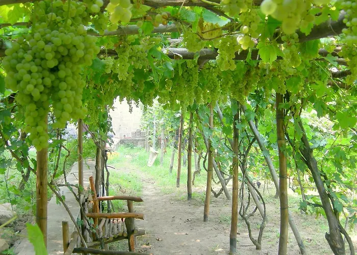 'la Vigna' Προτσίντα