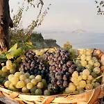 Hotel 'la Vigna'