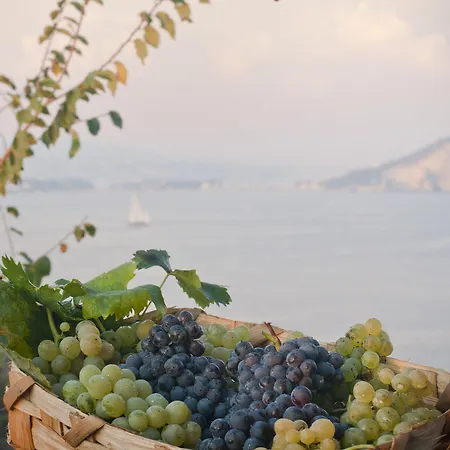 'la Vigna' מלון