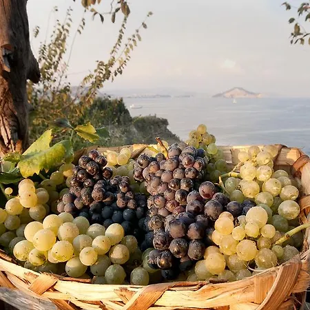 מלון 'la Vigna'