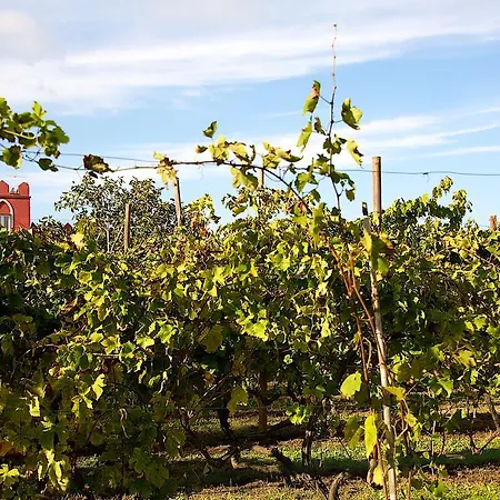 'la Vigna' מלון 4*
