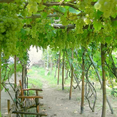 'la Vigna' פרוסידה